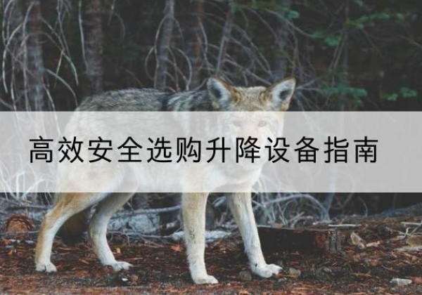 门源升降货梯厂家推荐-*安全选购升降设备指南