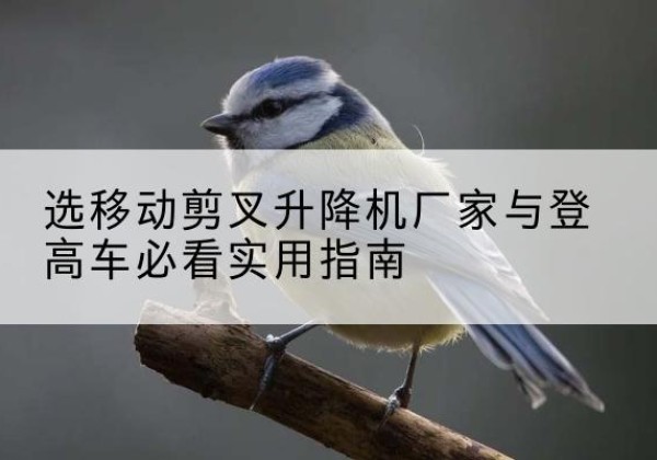 门源电动升降机厂家-选移动剪叉升降机厂家与登高车必看实用指南